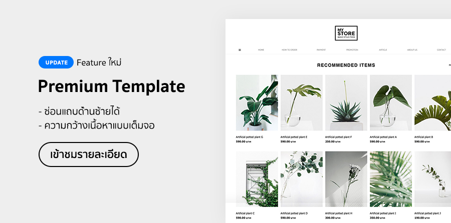 Premium Template หน้าตาเว็บแบบใหม่