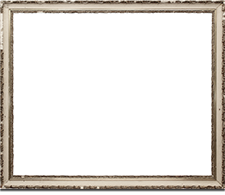 frame guest